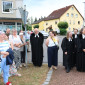 Baumpflanzung